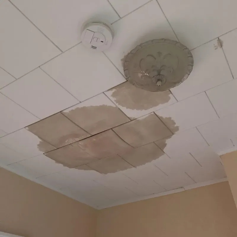 Ceiling Water Damage Repair in Munday, TX