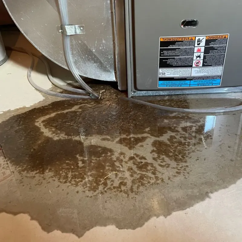 Pipe Burst and Leak Restoration in Munday, TX