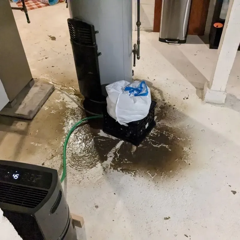 Sewage Backup Cleanup Service in Munday, TX